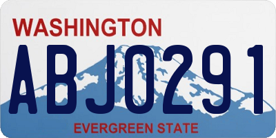 WA license plate ABJ0291