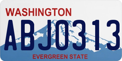 WA license plate ABJ0313