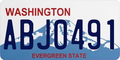 WA license plate ABJ0491