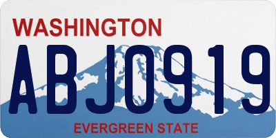 WA license plate ABJ0919