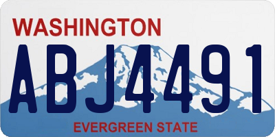 WA license plate ABJ4491