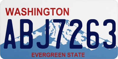 WA license plate ABJ7263