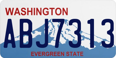 WA license plate ABJ7313