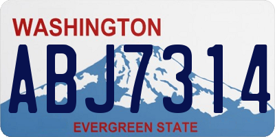 WA license plate ABJ7314