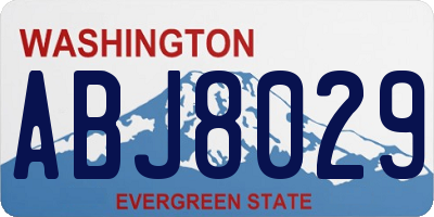 WA license plate ABJ8029