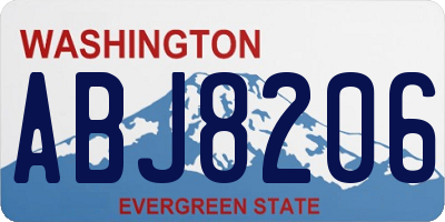 WA license plate ABJ8206
