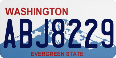 WA license plate ABJ8229