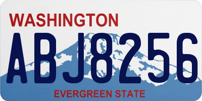 WA license plate ABJ8256