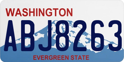 WA license plate ABJ8263