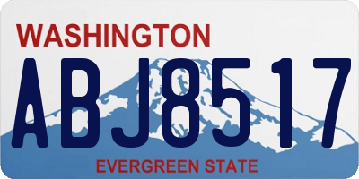 WA license plate ABJ8517