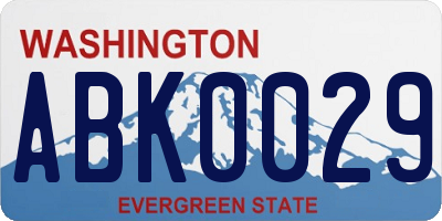 WA license plate ABK0029