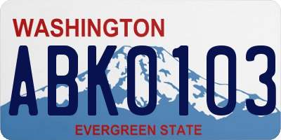 WA license plate ABK0103