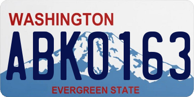 WA license plate ABK0163