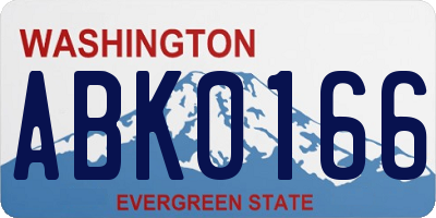 WA license plate ABK0166