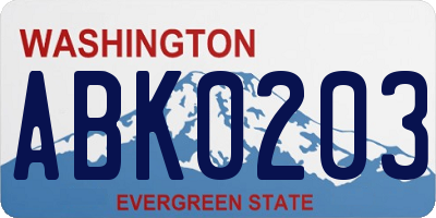 WA license plate ABK0203