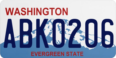 WA license plate ABK0206