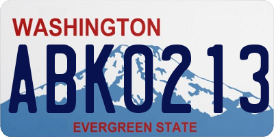WA license plate ABK0213
