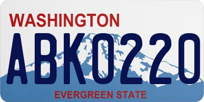 WA license plate ABK0220