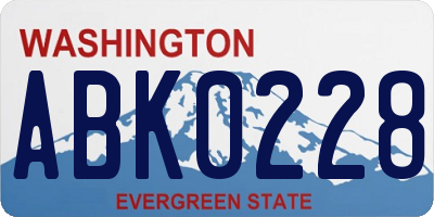 WA license plate ABK0228
