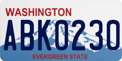 WA license plate ABK0230