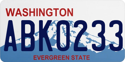 WA license plate ABK0233