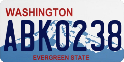 WA license plate ABK0238