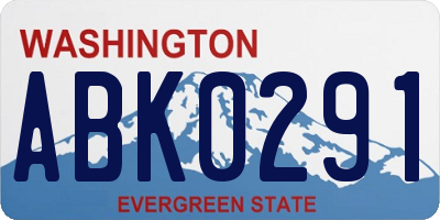 WA license plate ABK0291