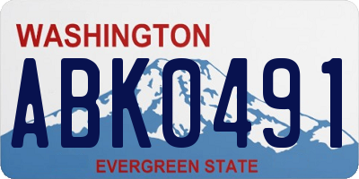 WA license plate ABK0491