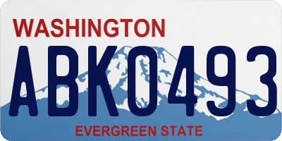 WA license plate ABK0493