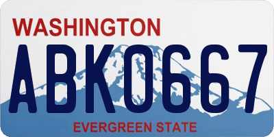 WA license plate ABK0667