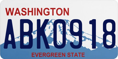 WA license plate ABK0918