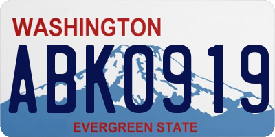 WA license plate ABK0919