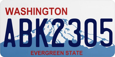 WA license plate ABK2305
