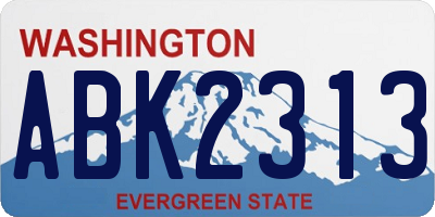 WA license plate ABK2313