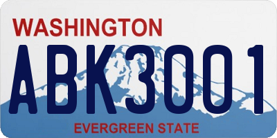 WA license plate ABK3001