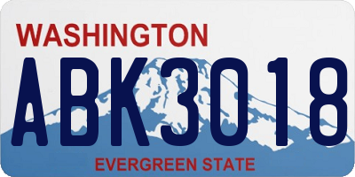 WA license plate ABK3018
