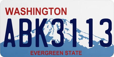 WA license plate ABK3113