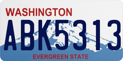 WA license plate ABK5313