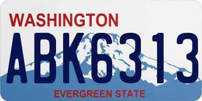 WA license plate ABK6313