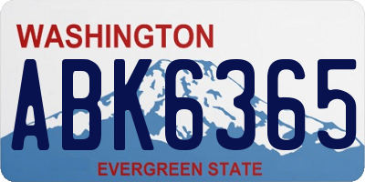 WA license plate ABK6365