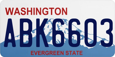 WA license plate ABK6603