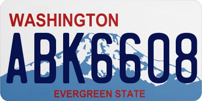 WA license plate ABK6608