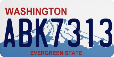 WA license plate ABK7313