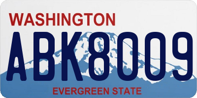 WA license plate ABK8009