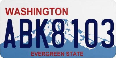 WA license plate ABK8103