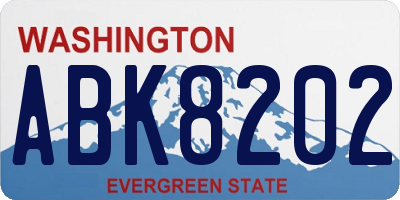 WA license plate ABK8202