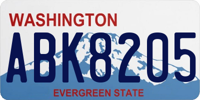 WA license plate ABK8205