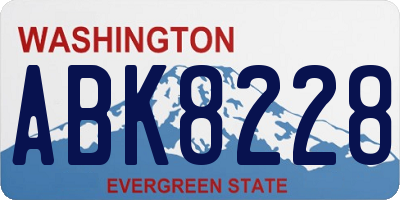 WA license plate ABK8228