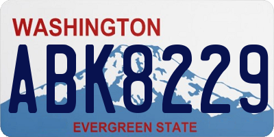 WA license plate ABK8229