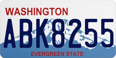 WA license plate ABK8255